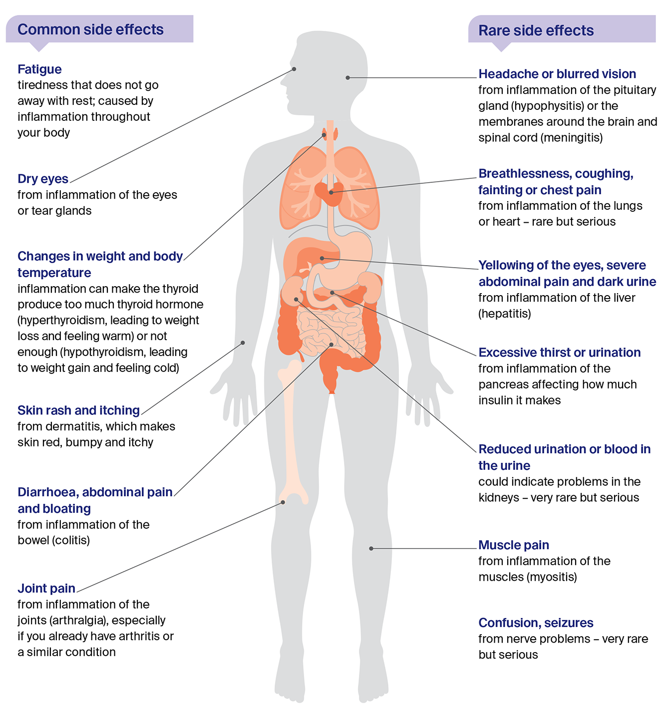 Diagram showing common and rare side effects of checkpoint inhibitor cancer treatments including fatigue and abdominal pain, and rarer side effects such as breathing problems and seizures.