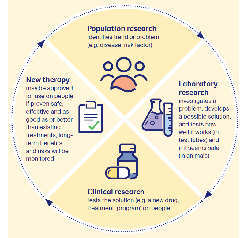 Infographic showing the Cycle of research. The research process first identifies a problem, then tests possible solutions, which may lead to new therapies becoming part of standard care.