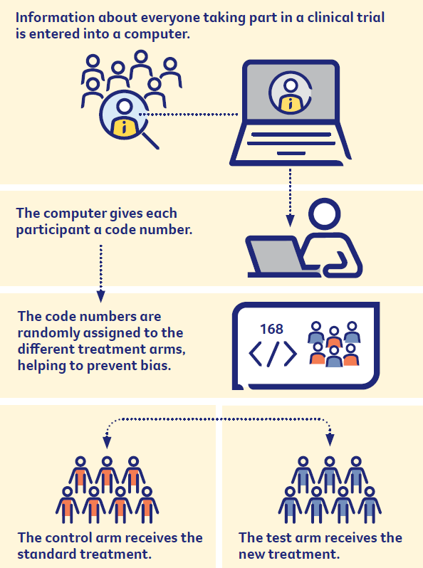 Illustration showing how Randomisation works - Information about everyone taking part in a clinical trial is entered into a computer. The computer gives each participant a code number. The code numbers are randomly assigned to the different treatment arms, helping to prevent bias. The control arm receives the standard treatment. The test arm receives the new treatment.