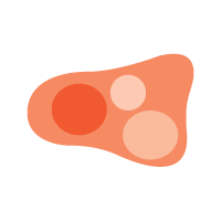 Colour - Are there differing shades and colour patches?