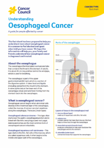 Thumbnail image of a fact sheet